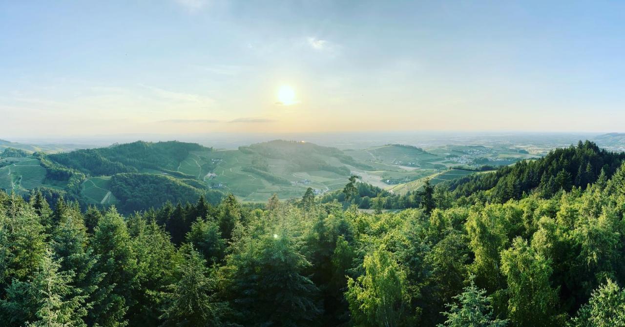 Ferienapartment Huber Oberkirch Kültér fotó