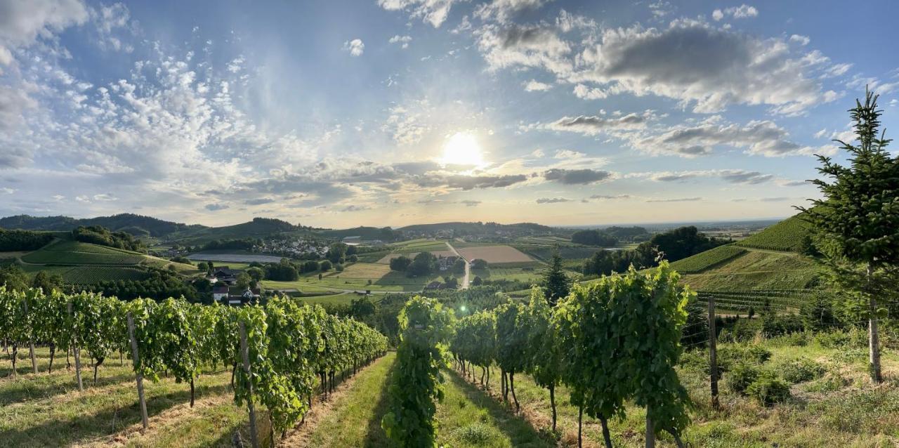 Ferienapartment Huber Oberkirch Kültér fotó